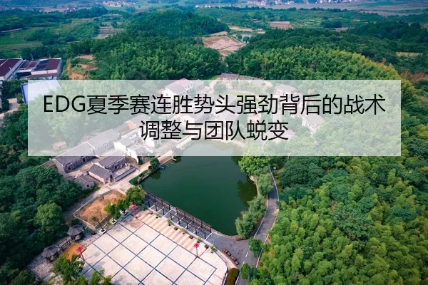 EDG夏季赛连胜势头强劲背后的战术调整与团队蜕变