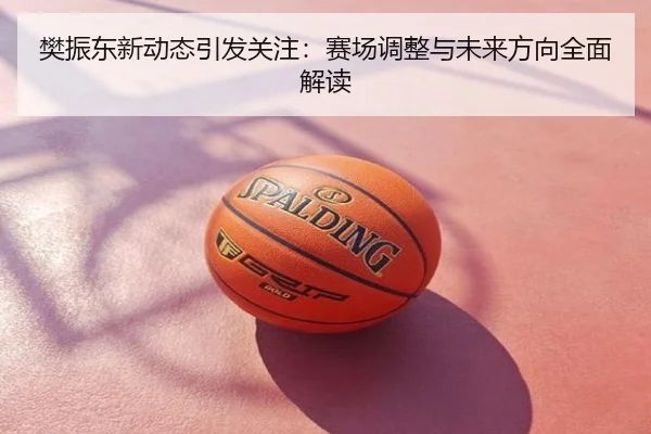 樊振东新动态引发关注：赛场调整与未来方向全面解读