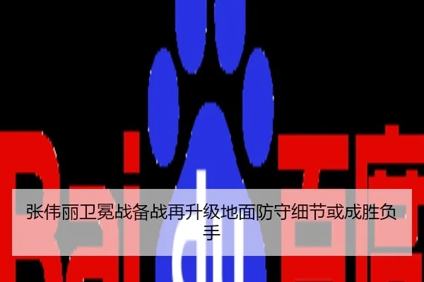 张伟丽卫冕战备战再升级地面防守细节或成胜负手